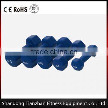 hot sale/ commercial gym equipment / Vinyl Dipping Neoprene Dumbbell/TZ-3005