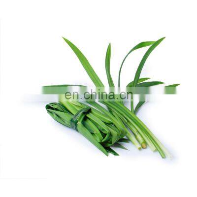 Savory Dishes Baked Processing Type Original Green Dried Pandan Leaves For Flavor Desserts And Drinks