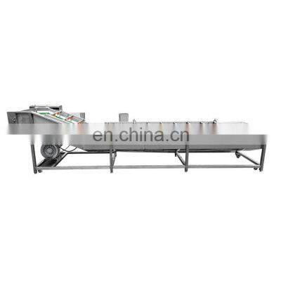 hot selling ozone vegetable & fruit washing machine / fruit and vegetable washing machine / ozone vegetable washing machine