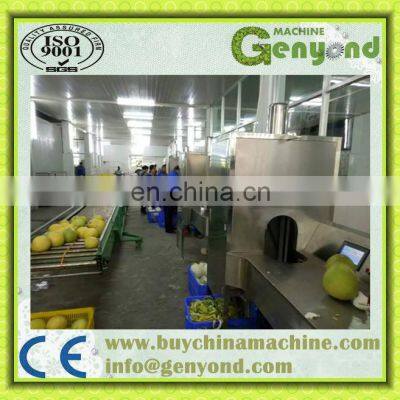 Jackfruit Peeling Machine Skiving Machine Peeler Industrial Machine photo-3