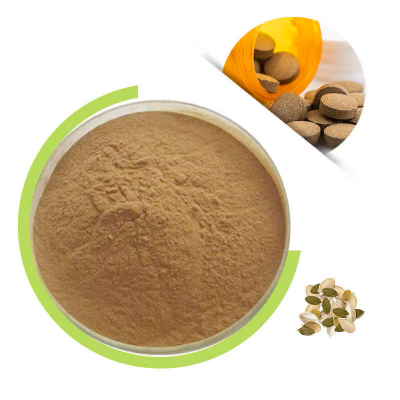 100% Natural Food Grade Pumpkin Seed Extract Powder 45% Fatty Acid Solvent Extraction for Health Food Drum Packaging