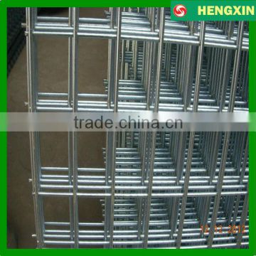 Seedbed mesh Galvanized welded wire mesh panel