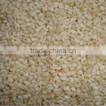 Golden Yellow sesame seeds