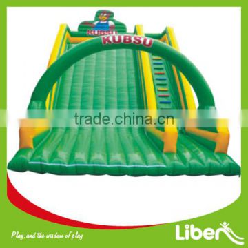 Large Funny Inflatable Water Slide Bouncer for Water Park LE.CQ.069