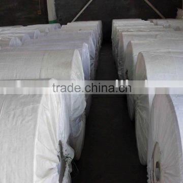 pp Woven Fabric