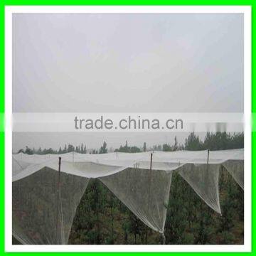 Apple Tree Used 100% Virgin HDPE Anti Hail Net With Low Price photo-5