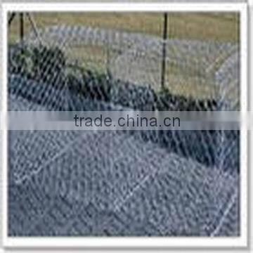 Hexagonal Iron Wire Netting photo-2