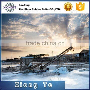 Ep200 Oil-Resistant Conveyor Belt / Rubber Belt photo-5