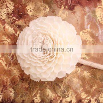 Cheap wholesale daisy scent sola wood/paper flower