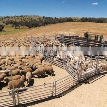 Sheep yard panel with gate