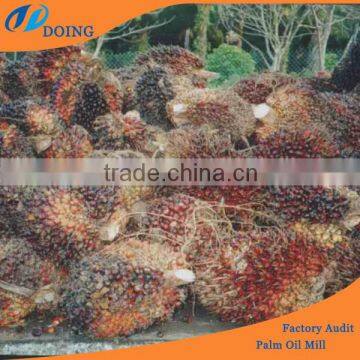 Hot sale in Africa palm oil extraction &palm factory from China best brand DOING with ISO&CE&BV