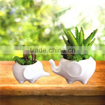 elephant bonsai pot in elephant shape flower pot