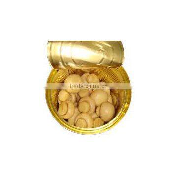 Fresh Canned Whole Mushroom in Tin or Jar with Hot Sale