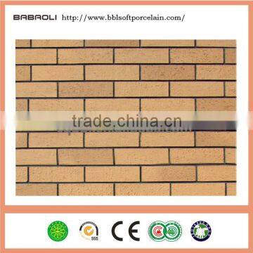Cheapest Exterior Wall Cladding Material for House, Bricks photo-2