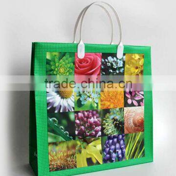 plastic shopping gift bag