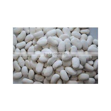 WHITE KIDNEY BEANS