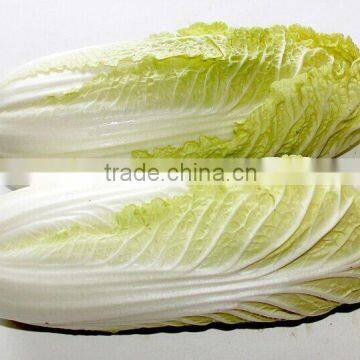 baby cabbage