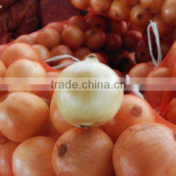 Fresh Yellow Onion