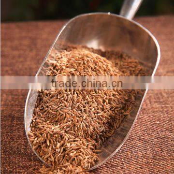 China supplier sales fennel seed from alibaba shop