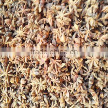 Chinese Aniseed