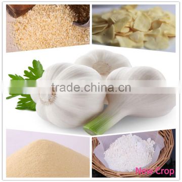 Factory Supplier China Garlic Price