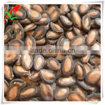 chinese raw black Watermelon Seed