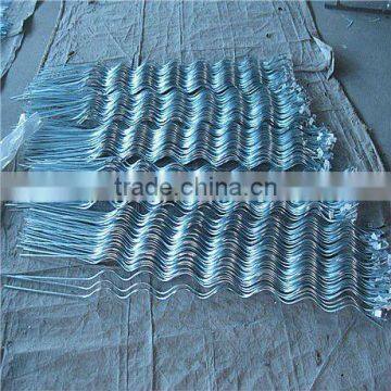 hot dipped galvanized/galvanized Tomato Spiral Wire Total length 1.7M