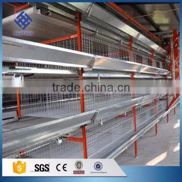 30 Years' Factory Supply Automatic Egg Chicken Cages photo-5