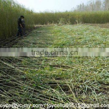 Mingyue Factory Osier Reaper for Tall Crops photo-3