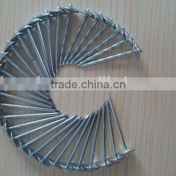 Galvanized Roofing Nail /colorful Zinc Coated Roofing Nails / Corrugated Roofing Nails Manufacturers in China photo-5