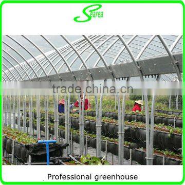 Multispan Tunnel Greenhouse for Flower photo-2