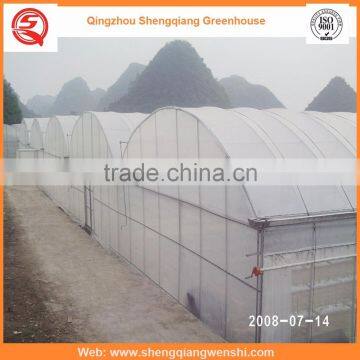 High Quality 10.8m Agriculture Plastic Film Greenhouse for Sale in China photo-2