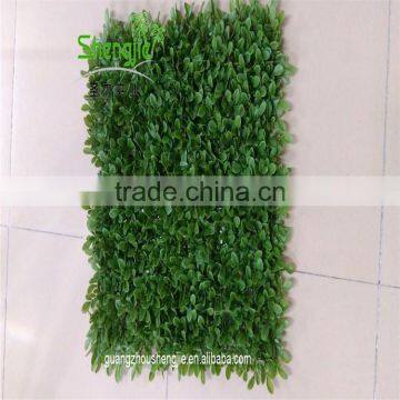 SJLJ013536 Factory Price Artificial Boxwood Green Hedge Fake Plastic Grass photo-5