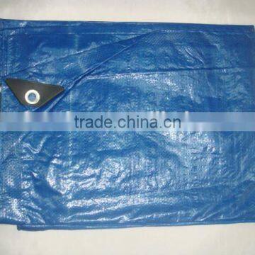 Agricultural pe Tarpaulin in Standard Size photo-2