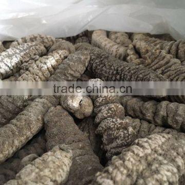 Fully Dried Mexicana photo-3