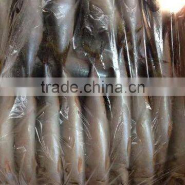 Frozen FIsh Mackerel Fish photo-2