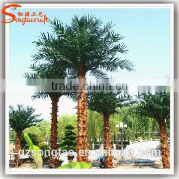 Preserved and Replica Trees Plam Data Tree photo-4