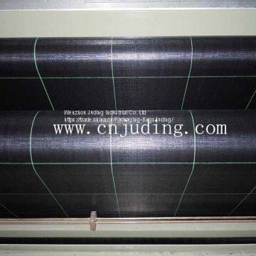 pp Woven Fabric