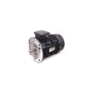 Y series three-phase motor (Y 100)