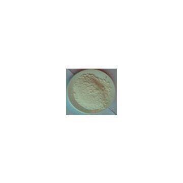 China (Mainland) Garlic Powder