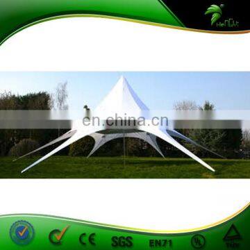 2017 Customized Attractive Large Party Marquee Event Car Tent,Beach Star Tent For Sale photo-4
