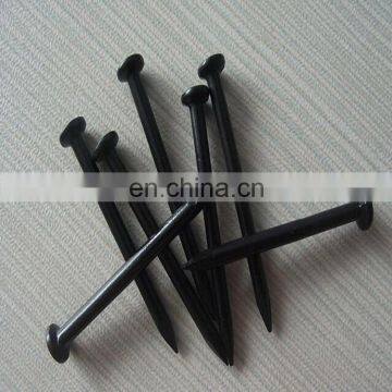 Factory Supplied High Quality Carton Steel Concrete Steel Nail