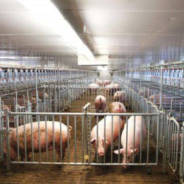 High Quality Building Pig Farm House Built With Structure Steel Pipe Truss