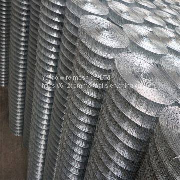 1/4 Pvc Coated Welded Wire Mesh/2'' Weled Wire Mesh Fence photo-2