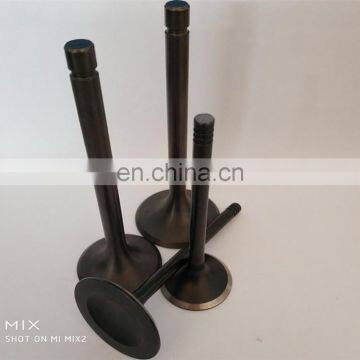 High Quality Car Supertech Borch Ferrea Engine Valve For VW PASSAT B-ORA 1.8T B5 058 103 724 AC AUDI A4 B7 AMAROK photo-5