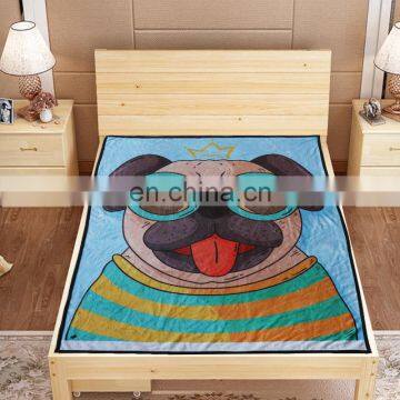Wholesale Custom New Flannel Cartoon Printed Leisure Blanket photo-4
