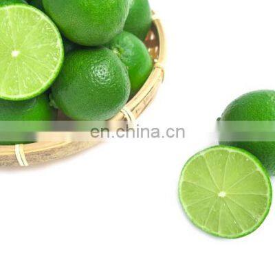 TOP FOOD FAMOUS FOR VIIET NAM GREEN LEMON HIGH QUALITY WITH BEST PRICE photo-3