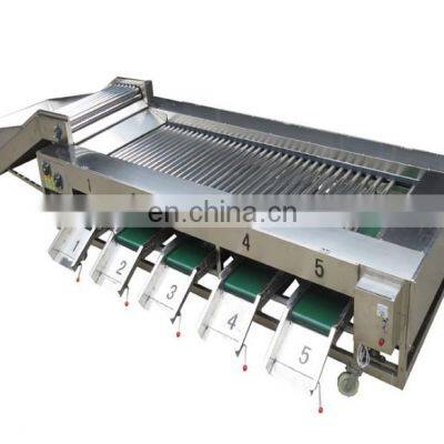 Factory supply stainless steel Potato tomato vegetable Garlic grading sorting machine Apple Grading Machine