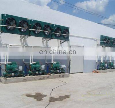Good Price Chicken Slaughtering Machine photo-4