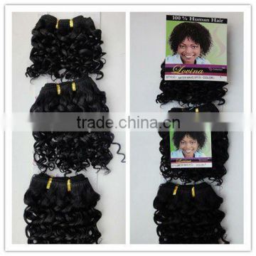 Whosasle Price 100% Human Hair Water Wave(3pcs)